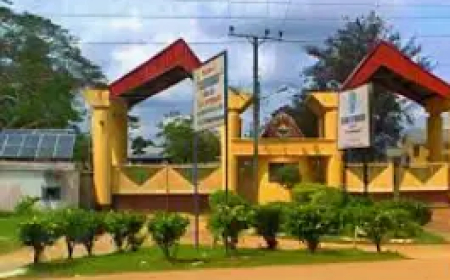 Strike shuts down Ebonyi College, disrupts exams as lecturers protest poor welfare