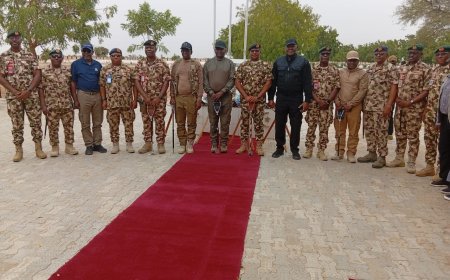 Defence ministers pay tribute to soldiers killed in Borno