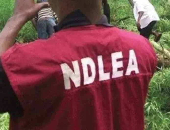 NDLEA intercepts 134.483kg illicit drugs, arrests 157 drug dealers in Ebonyi