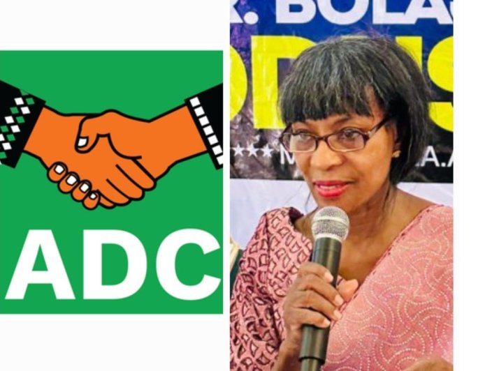 Ogun 2027: Odusina Picks ADC for Ogun Governorship Race