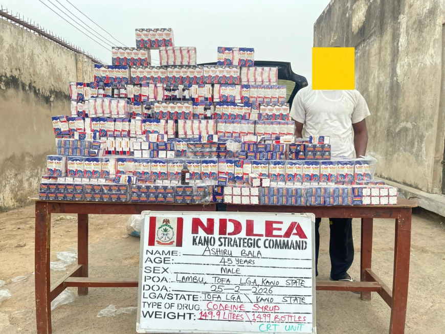 NDLEA seizes 1,499 bottles of codeine syrup in Kano, arrest suspect