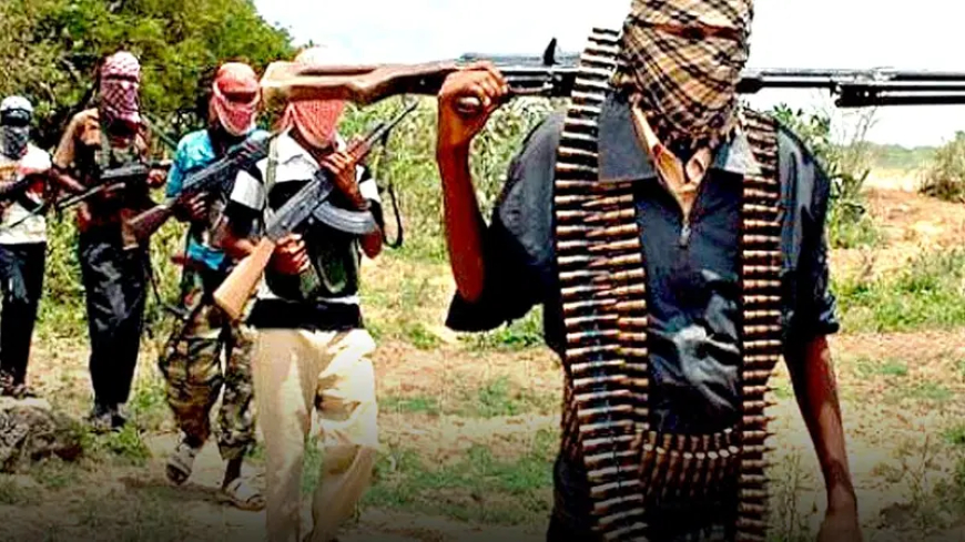 Terrorists kill 20 in Benue, kidnap 10 in Kwara, hours after Borno bloodbath 