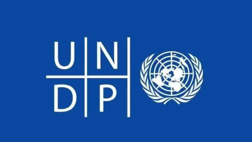 2026 United Nations UNDP Internship For Students and Graduates | ($1000 Stipend)
