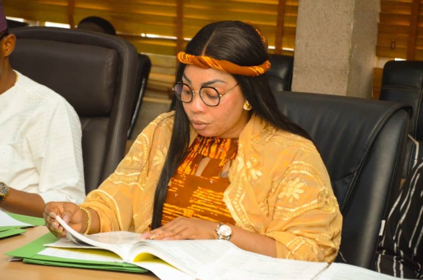 Hon. Bakare Omolola Olanrewaju: A Capable Lawmaker with a Distinction of Projects