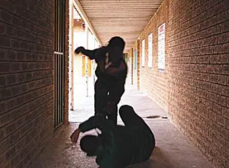 Bullying: Parents, schools have more work to do to stop it — Stakeholders