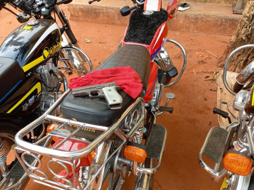 Police bust five-member criminal gang, recover firearms in Anambra