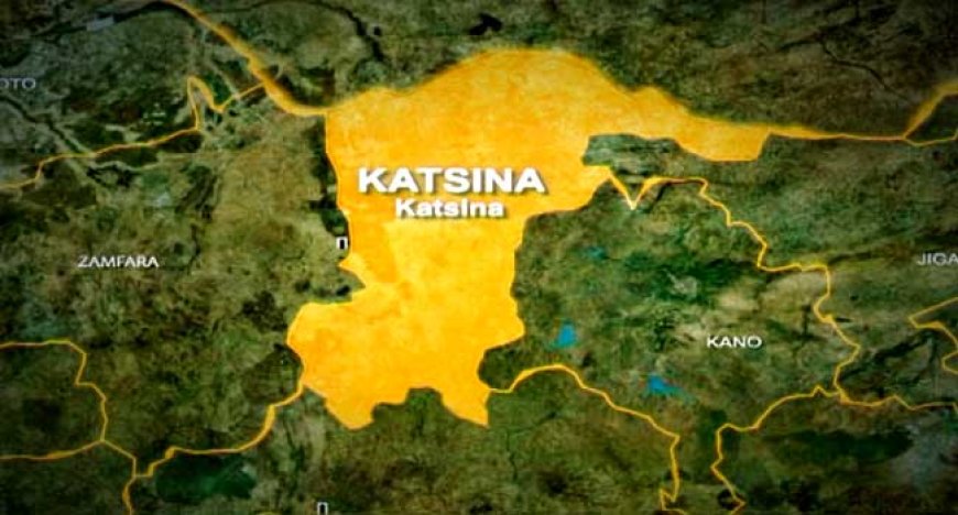 Police arrest woman for stealing goods worth N10m in Katsina