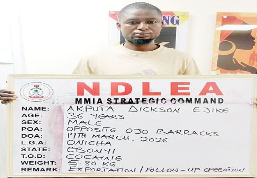 NDLEA uncovers cocaine hidden inside fish in Lagos