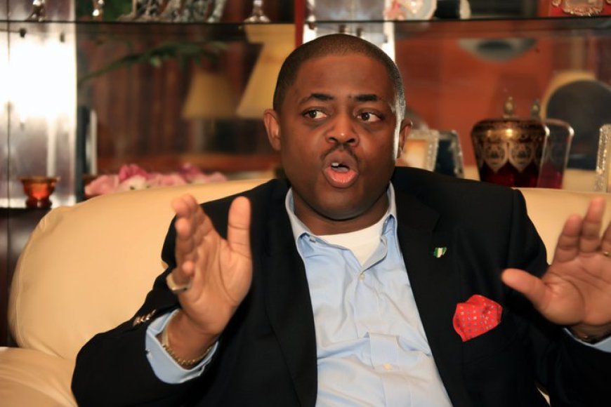 Germany did not reject my ambassadorial nomination, says Fani-Kayode