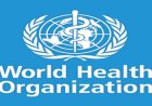 WHO urges stronger efforts to achieve 2030 hepatitis elimination