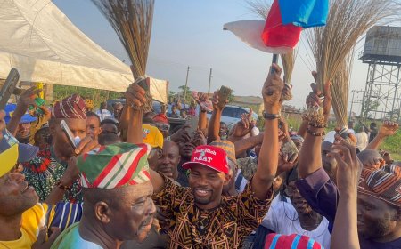 In Ogun, Assembly Minority Leader Adeleye, Hundreds Of PDP Excos Join APC