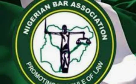 Imo NBA moves to tackle quackery in legal service