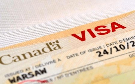 UK, Canada visa fees compared: What Nigerians will pay in 2026