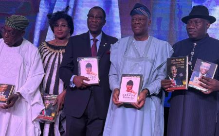 Gbenga Daniel seeks amnesty for repatriated stolen funds held abroad