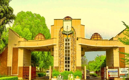 Kwara varsity promotes 45 to professorial cadre