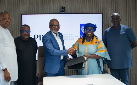 UNDP, PIND partner on advance integrated devt of Niger Delta