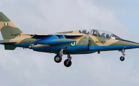 NAF airstrikes destroy terrorist enclave in Lake Chad region, kill scores