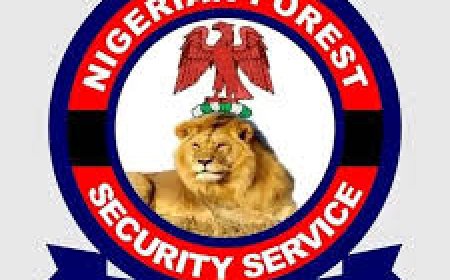 Nigerian forest security service disclaims N200k recruitment fees as rogue activity