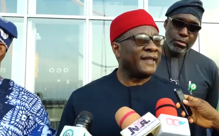 Air Peace to begin London flights from Ogun airport this summer — Onyema