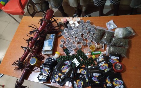 Police arrest suspected criminals, recover arms, drugs in Delta