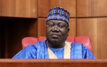 Yobe youths raise N188m for ex-senate president governorship race  