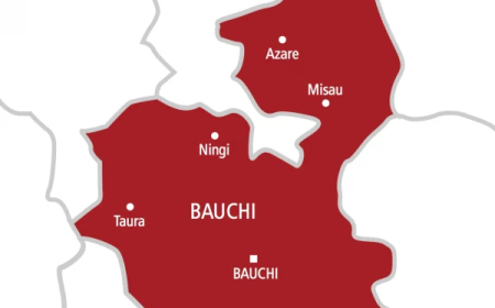 CSO cautions Bauchi youths, women against violence