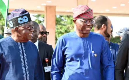 Lagos commissioner dismisses reported rift between Tinubu, Sanwo-Olu as ‘mere speculation’