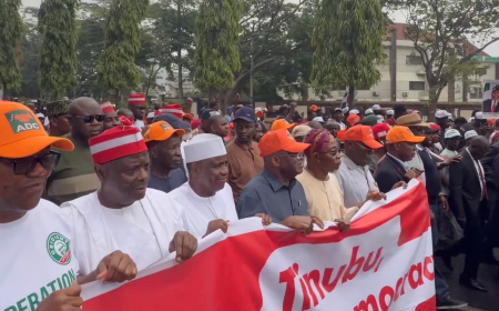 #OccupyINEC: Atiku, Obi, Kwankwaso, others join ADC rally over INEC decisions