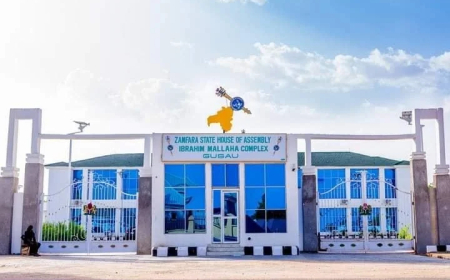 Zamfara Assembly suspends two LG chairmen over fraud allegations