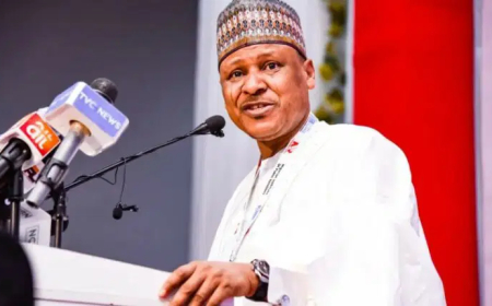 FG pushes back on US advisory, insists Nigeria safe