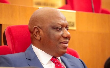 FG, senator unveil hepatitis intervention for Southern Kaduna residents