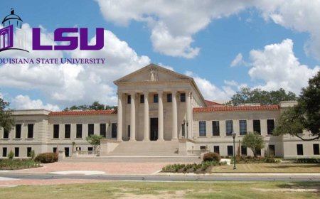 Louisiana State University Scholarships in USA 2026 | Fully Funded