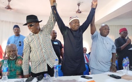 ADC holds congresses in Abia, produces rival chairmen in Ogun