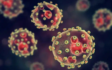 Lassa fever surge: Lagos raises alarm, launches statewide campaign