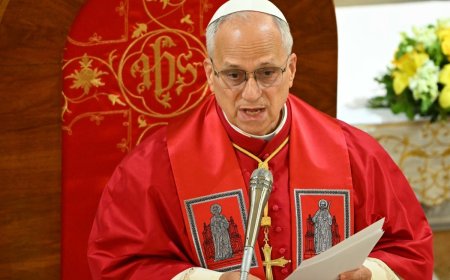 Trump says ‘not a big fan’ of Pope Leo after his anti-war message