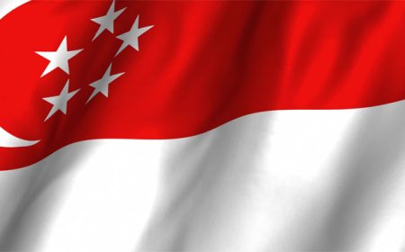 Singapore to admit 40,000 permanent residents annually for five years