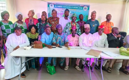 Ekiti farmers elect new executives, end three-year crisis