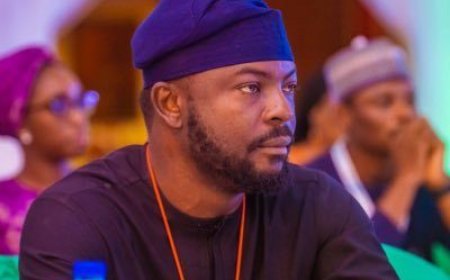 Tinubu’s aide backs Borno airstrike, says terrorist collaborators military targets