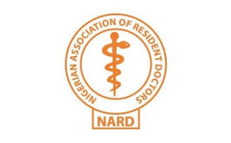 FG begins payment of doctors arrears