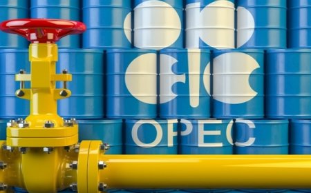 Nigeria crude output misses OPEC quota eighth straight month