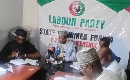 LP chairmen reject calls for Amupitan’s resignation, warn against fresh congresses