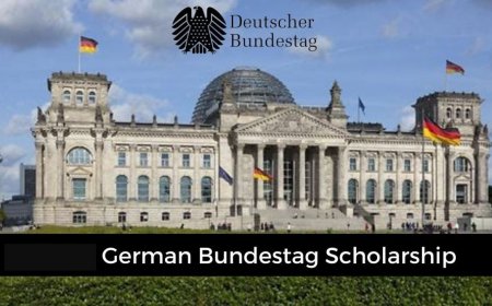 2027 German Bundestag Scholarship For Africans | How To Apply