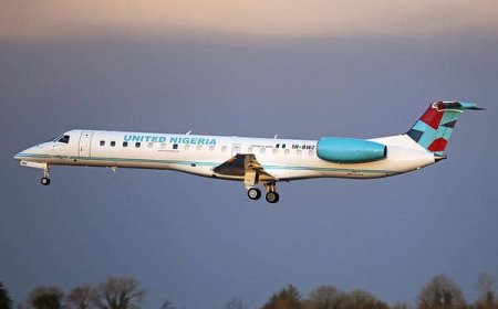 United Nigeria Airlines records fifth bird strike, grounds aircraft