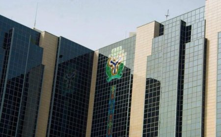CBN proposes mediation panel for loan disputes