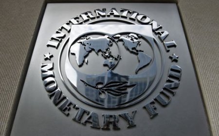 Fast-track financial support, IMF tells Nigeria, others