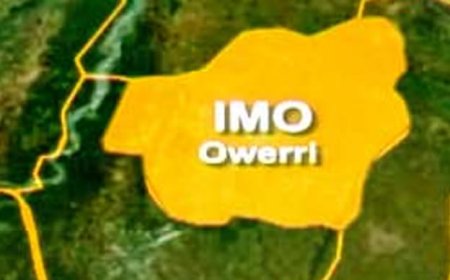 Imo LG suspends vice chair over alleged theft