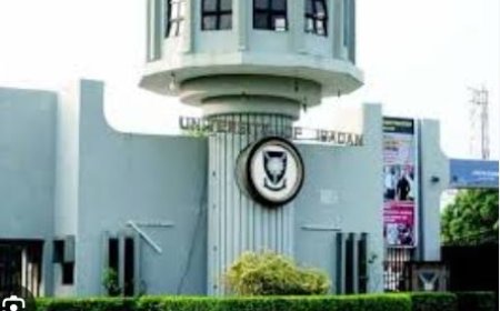 UI begins search for next Vice-Chancellor