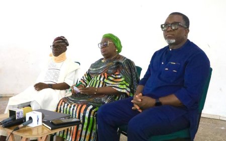 2027: We Will Give Priority to PWDs on Election Days - Ogun INEC