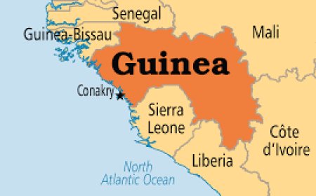 Guinea lifts temporary ban on social media