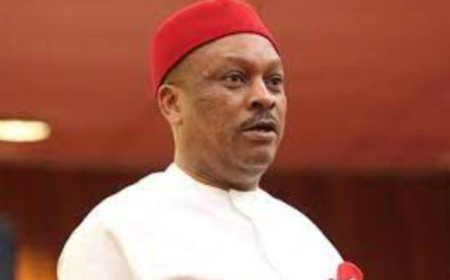 Wike-backed PDP dismisses Anyanwu suspension claims, says appeal misrepresented